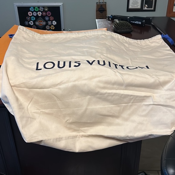 Louie Vuitton bag and dust bag - Picture 3 of 5